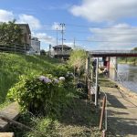 成田-多古に鉄道は引かれ改軌された ― 農業地帯を近代市場へつないだ一本の線